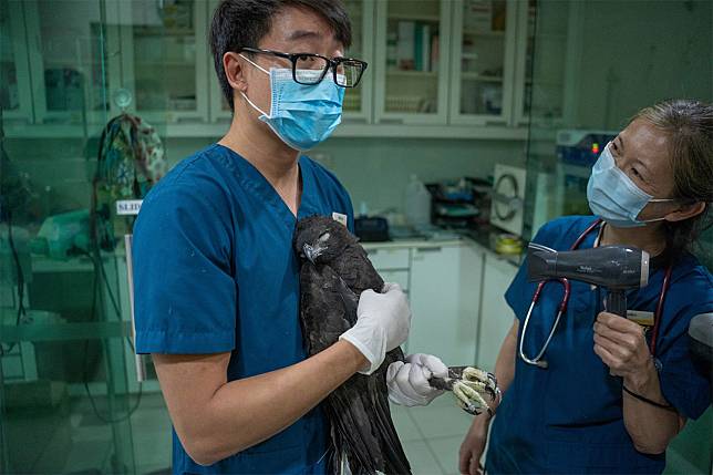 JURONG BIRD PARK