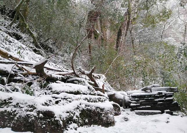 拉拉山國家森林遊樂區因地理位置易受東北季風影響，遇到超強寒流來襲加上水氣充足，降雪機率非常高，圖為往年降雪方銀色世界。(資料照，林業及自然保育署新竹分署提供)