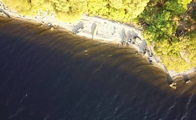 英國蘇格蘭尼斯湖水怪清晰畫面曝光，空拍機在湖面上拍到疑似「蛇頸龍」的畫面。(richardoutdoors 授權使用)