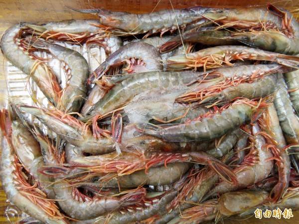 鼎泰豐用白蝦、沙蝦取代劍蝦，基隆市拖網漁業協會理事長陳傳文說，現在劍蝦有一半賣到中國，價格還會再漲。(記者林欣漢攝)