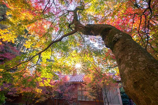 福壽山農場 / 圖片來源：欣傳媒資料庫