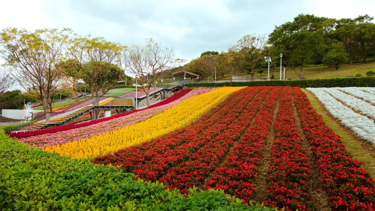 北投「台版富良野」3/15 謝幕三層崎彩色浪花海倒數一天搶拍大冠鷲圖騰