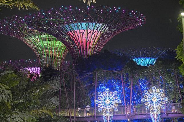 Photo taken on Dec. 1, 2024 shows Christmas Wonderland light decorations at Singapore's Gardens by the Bay. (Photo by Then Chih Wey/Xinhua)