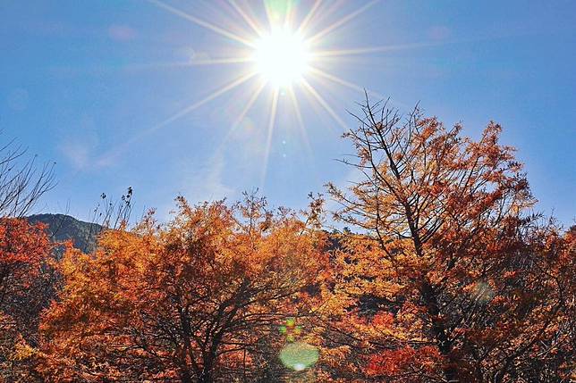 奧萬大國家森林遊樂區 / 圖片來源：@pig7747授權使用