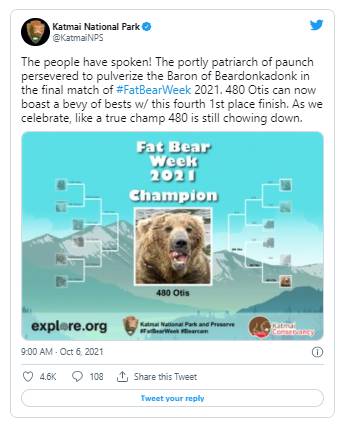 圖片來源：Daily Paws - Otis the Bear Wins Fat Bear Week for the Historic Fourth Time: 'True Champ'