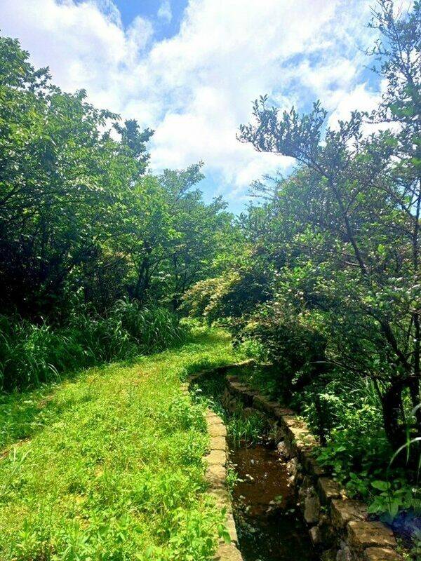 圳路步道。 圖：台北市政府工務局大地工程處／提供