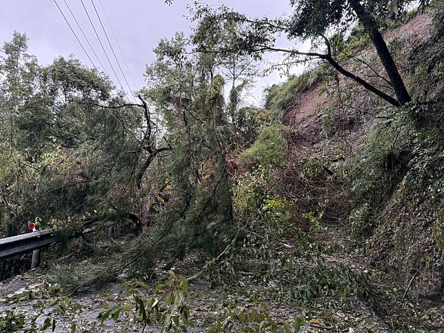 梨山地區發生大量山石滑落及路基損壞無法通行，阻礙台電機具、設備進入山區搶修。圖為台8線99.1K樹倒狀況。