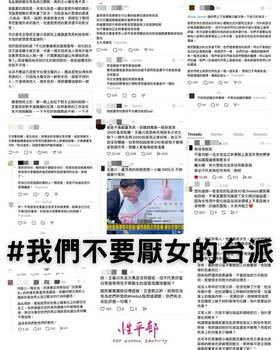 圖片翻攝自 民進黨性平部