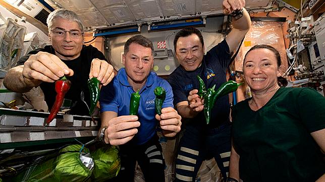 在這張照片裡，國際太空站上的太空人們正在與剛採收下來的辣椒合照。圖中太空人由左至右分別是：美國太空人范德黑、金布羅(Shane Kimbrough)、日本太空人星出彰彥和美國太空人麥克亞瑟。 美聯社/達志影像