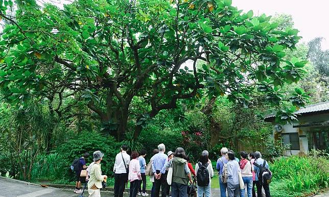 植物園散步也能治病？無副作用的「植物園處方箋」有望輔助失智治療