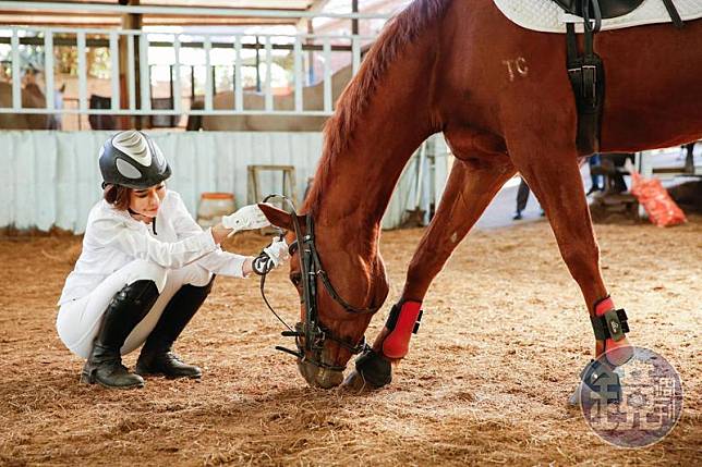 斯容現在注意力都在養馬、練馬術，過年前才初階馬術完賽拿到金牌。