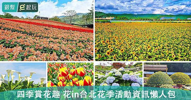 「2025花IN台北」11大花季時間一次看！台北茶花展/三層崎花海/樂活夜櫻季/陽明山花季/樟樹步道花海/士林官邸鬱金香展/台北杜鵑花季/臺北玫瑰展/竹子湖海芋季及繡球花季/台北河濱花海/士林官邸菊展