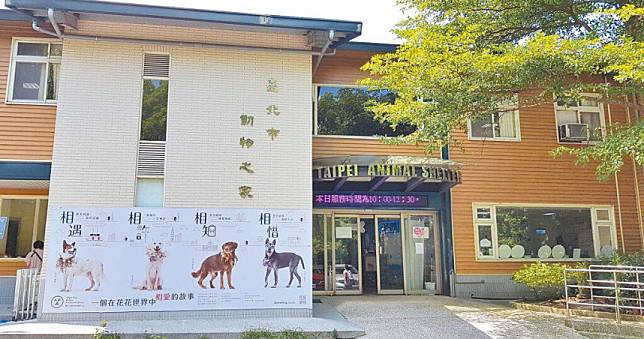 北市動物之家領養有「猶豫期30天」　退養率逐年增　荒謬理由曝光