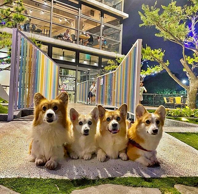 照片來源: IG @xerxes0531