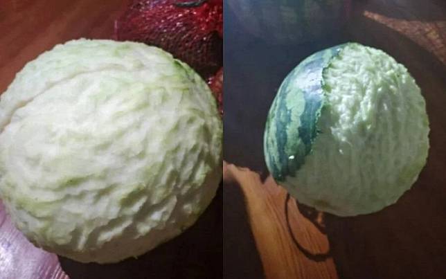主人回家看傻！大西瓜離奇變身「高麗菜」 超萌兇手狂啃千口沒吃到果肉