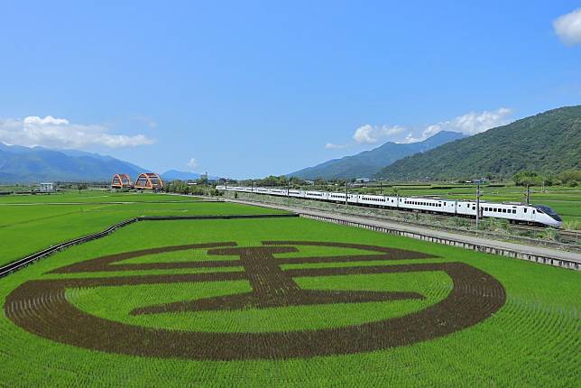 臺鐵攜手稻農公司，於玉里至富里路段打造彩繪稻田。（臺鐵局提供）