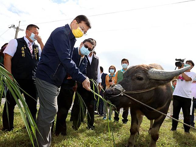 壯圍沙丘地景藝域推「劵戀東北角」搶商機