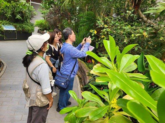 打造植感生活 紓壓療癒身心 典藏植物園植物手作課程搶手