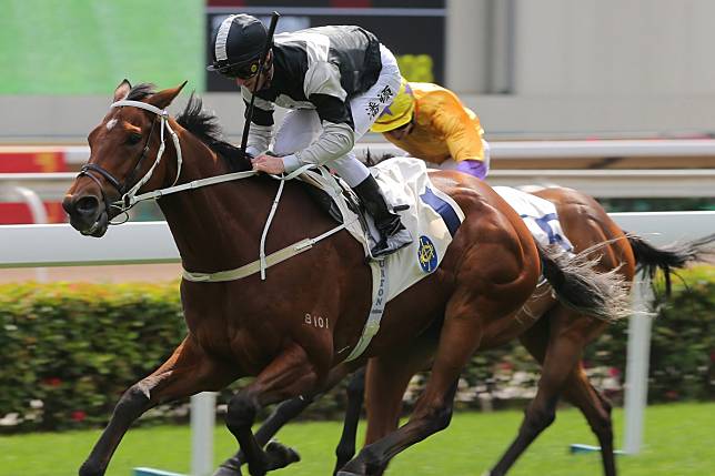 Zac Purton guides Exultant to victory at Sha Tin on Monday. Photos: Kenneth Chan