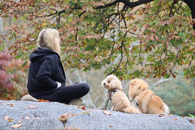 紐約曼哈頓中央公園一隅。家教良好的狗狗和主人一起靜靜坐著沉思，是午後最美的風景之一。（攝影／許曉嘉，下同）
