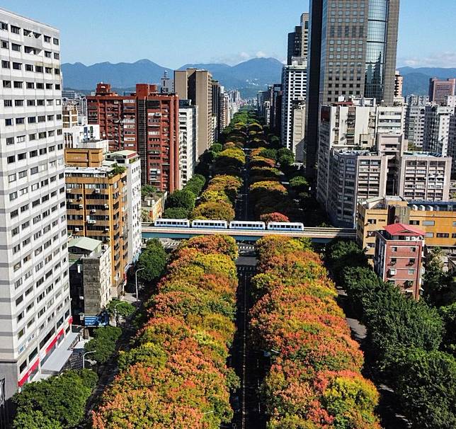 ▲圖片來源：IG@chenghongshih