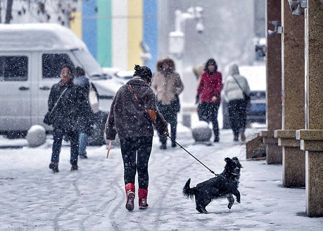 新疆市民冒雪出行。（中新社圖片）