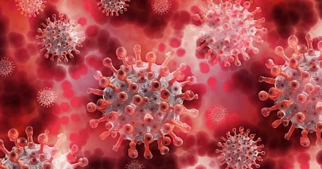 美國發現超級抗體　可有效對抗新冠肺炎等多種冠狀病毒