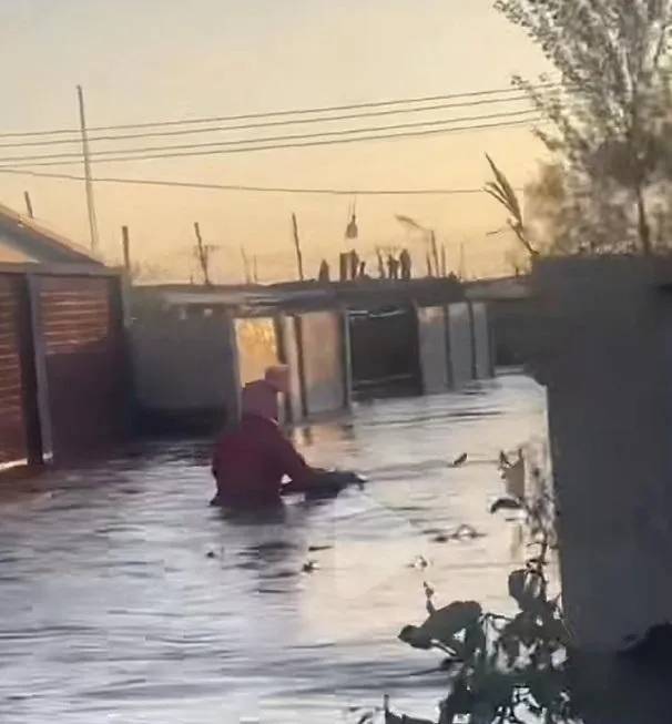 大陸遼寧省多地21日因海水倒灌造成街道積水，民眾拍到有人出門幾乎被淹沒半截身體。（圖／翻攝自微博@紅星新聞）