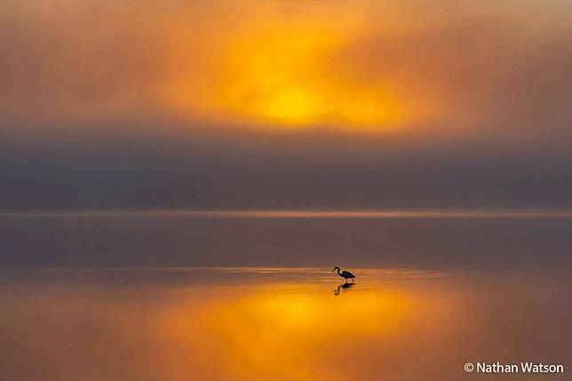 Hunting in the Glow by Nathan Watson ／ AGNPOTY