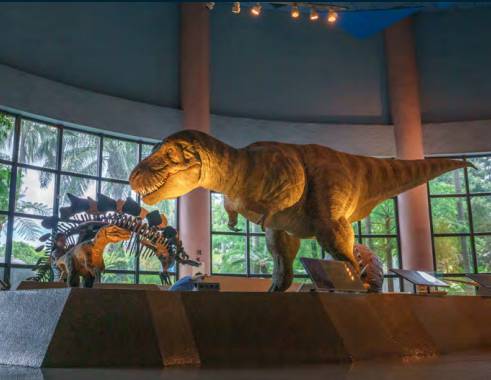 國立自然科學博物館蒐藏超過140萬份標本和文物（圖片提供/臺灣科學節）