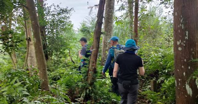 42人登山團健行苗栗「神仙縱走」　8人遭虎頭蜂螫傷