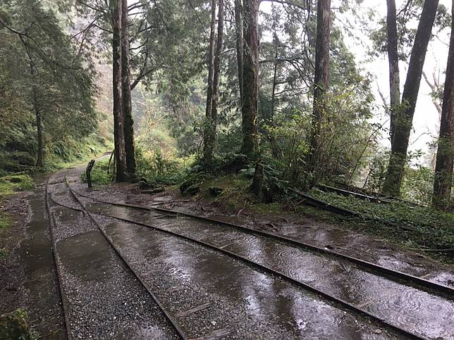 ▲見晴懷古步道在雨天行走時要小心積水跟路滑。（圖／奧丁丁體驗）