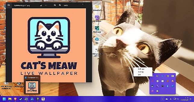 Windows桌布也能養貓🐾Steam新作《Cat's Meow Live Wallpaper》9月15日推出