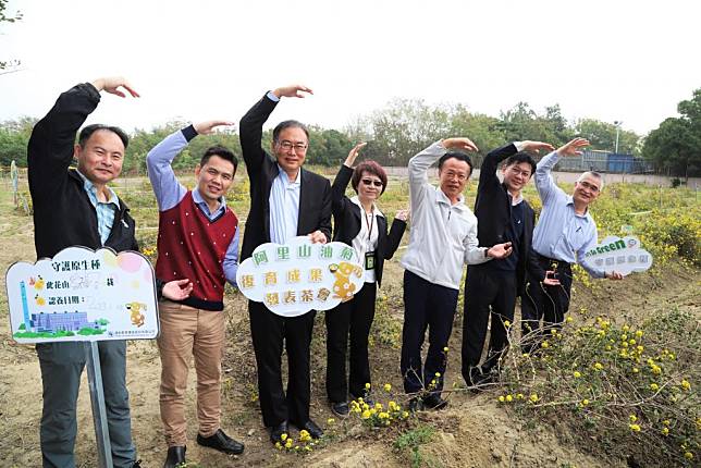 嘉義縣鹿草垃圾焚化廠促參案十日揭牌，阿里山油菊成功復育。（記者張翔翻攝）