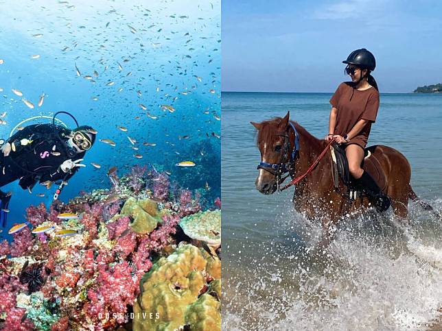 普吉島旅遊｜來泰國畢旅推薦不可錯過的8大行程，近距離接觸動物的絕佳選擇！