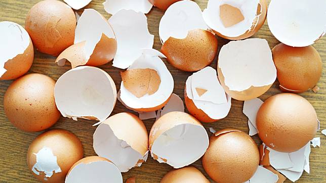 เจ๋งสุดๆ 4 ประโยชน์ของ เปลือกไข่ ที่หยิบมาใช้งานในบ้านได้