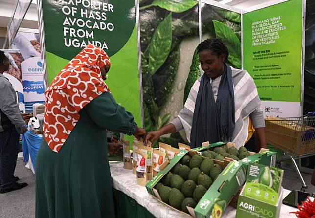 An exhibitor presents avocado products to a visitor at the second International Africa Avocado Congress (Avocado Africa 2023) in Nairobi, Kenya, May 31, 2023. (Xinhua/Dong Jianghui)