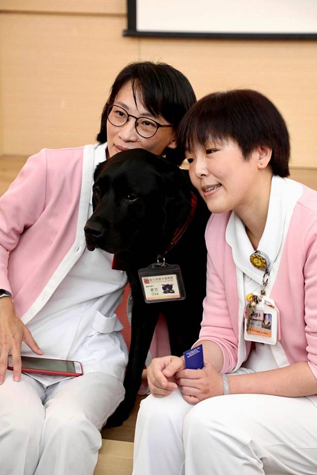 北榮培養出全國第一隻安寧病房輔助治療犬Oba，並由該院護理師劉曉菁、副護理長楊婉伶成為牠的寄養家庭。 （北榮提供）