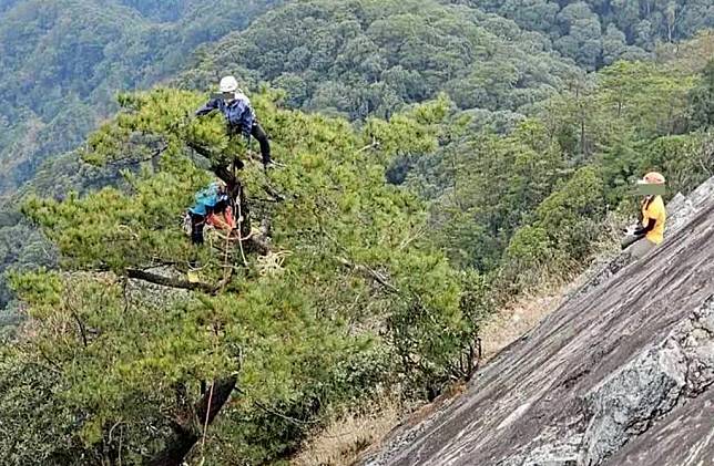 臉書有山友ＰＯ文指一群登山客攀爬台中市和平鳶嘴山時竟爬到石壁樹上拍照。（記者陳金龍翻攝）