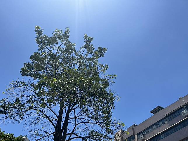 端午連假戶外人潮眾多，中暑風險隨之升高。(圖/中天新聞)
