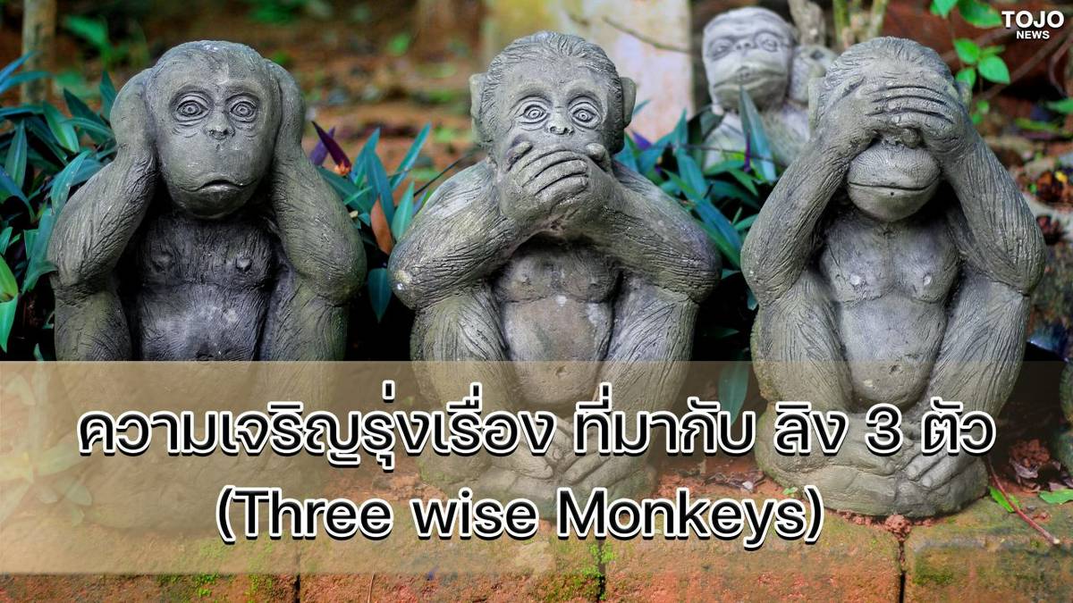 ความเจริญรุ่งเรือง ที่มากับ ลิง 3 ตัว (Three wise Monkeys) | TOJO NEWS ...