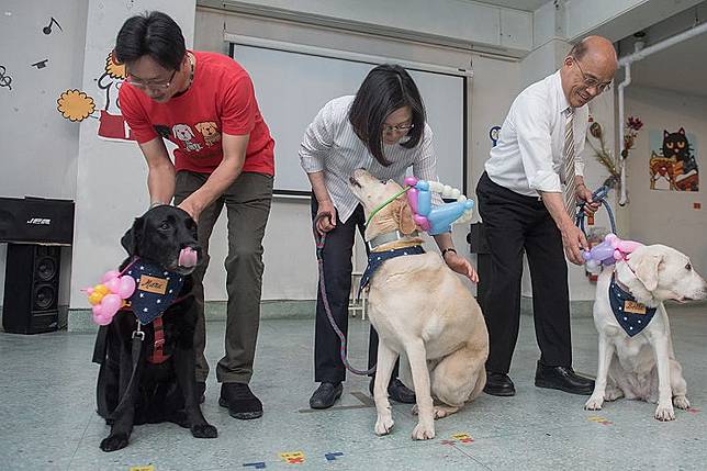 總統蔡英文認養的三隻導盲犬，人稱「官邸三寶」的Bella、Bunny以及Maru。 圖：總統府/提供