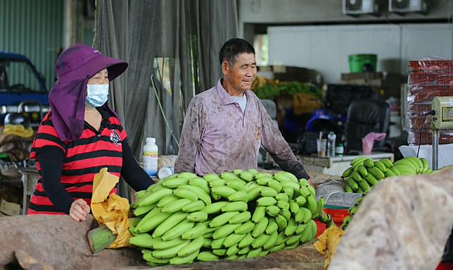 凱米颱風看問題》農業保險為何推不動？除水稻之外，產地：理賠難、爭議多