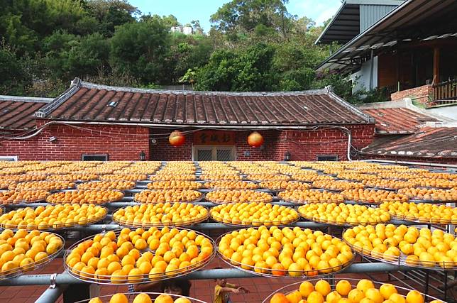 金漢柿餅教育農園(圖片來源/LINE熱點用戶)