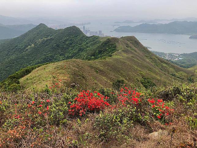 紅花寨遠眺山嶺。