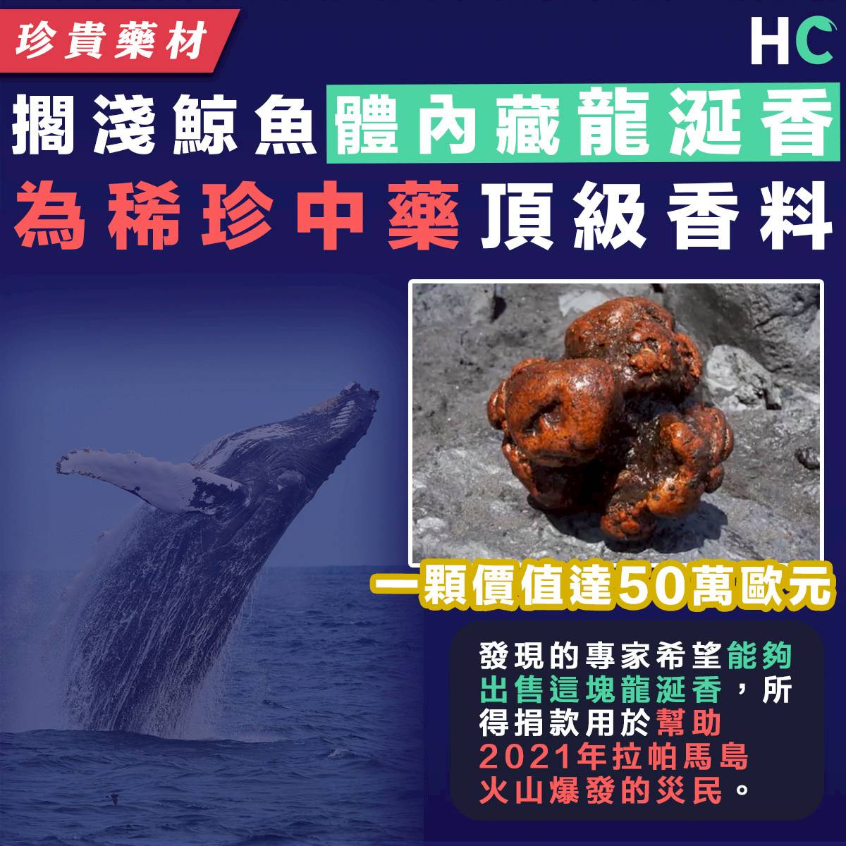 珍貴藥材】擱淺鯨魚體內發現價值431萬「龍涎香」 為稀珍中藥治神昏益精髓| Health Concept | LINE TODAY