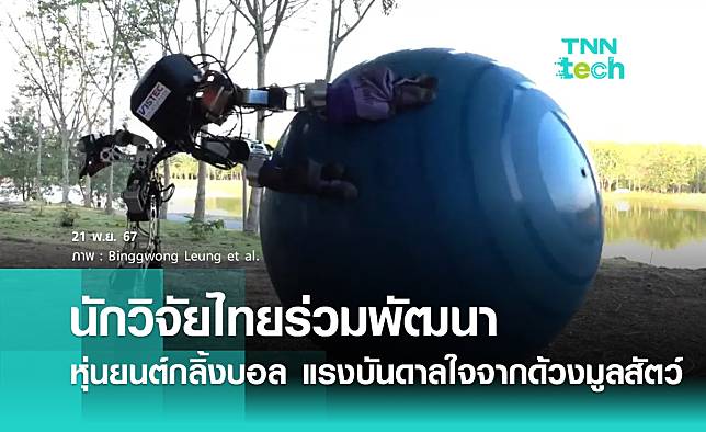 นักวิจัยไทยร่วมพัฒนาหุ่นยนต์กลิ้งลูกบอล แรงบันดาลใจจากด้วงมูลสัตว์