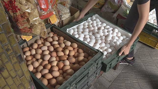 國內雞蛋產量過剩價跌，飼料價格卻上漲。（資料畫面）