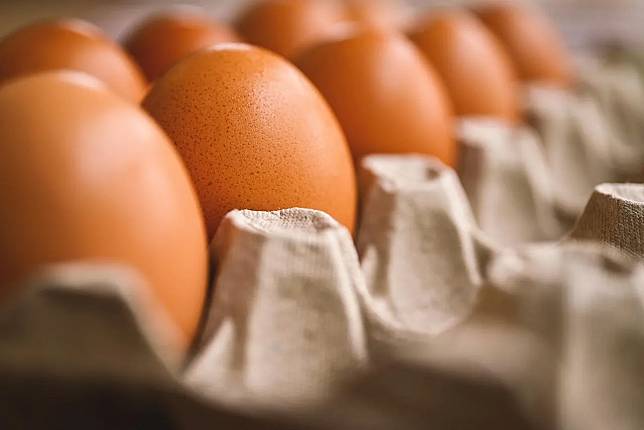 桃園市一對蕭姓夫婦與兒子共同經營元山蛋品公司，不料3人向養雞戶低價購買已破裂之雞蛋、發霉蛋、長蟲蛋等，包裝成蛋白液、蛋黃液、全蛋液等液蛋商品對外販售。（示意圖／photoAC）