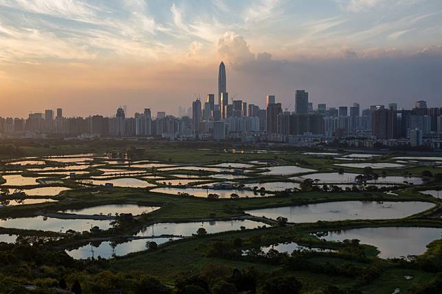Agricultural land in Hong Kong bordering the city of Shenzhen. Photo: EPA